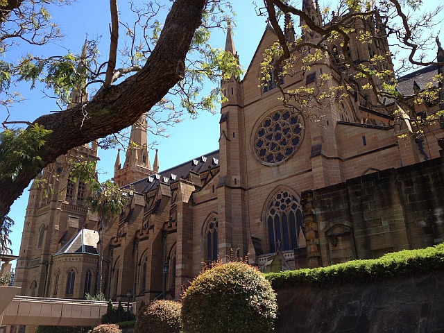 image of St Mary's Cathedral, Sydney